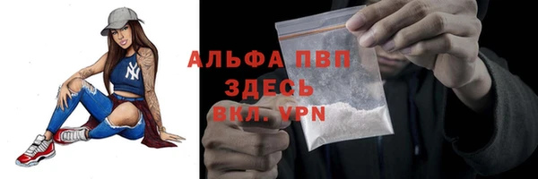 СК Ладушкин