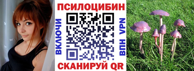 Псилоцибиновые грибы Psilocybe  купить  цена  блэк спрут маркетплейс  Светогорск 