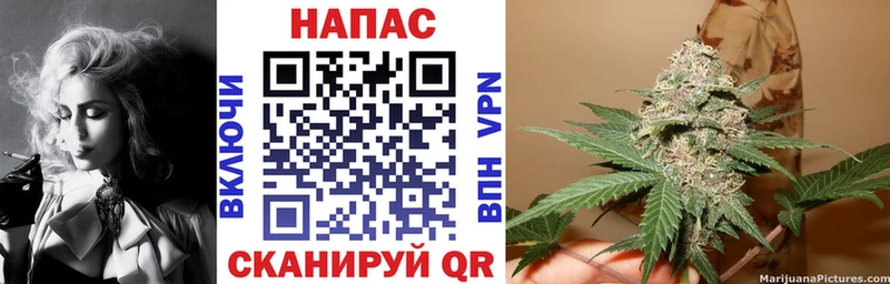 Каннабис SATIVA & INDICA  закладка  гидра сайт  Светогорск 